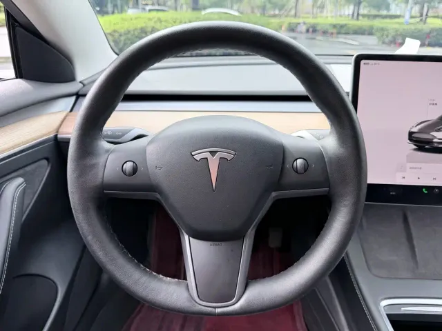 Tesla Model 3 — Фото автомобиля 9