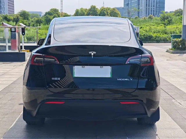 Tesla Model Y — Фото автомобиля 13