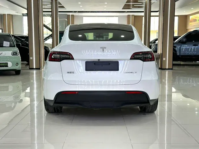 Tesla Model Y — Фото автомобиля 9
