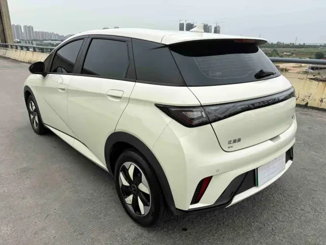 BYD Dolphin — Фото автомобиля 4