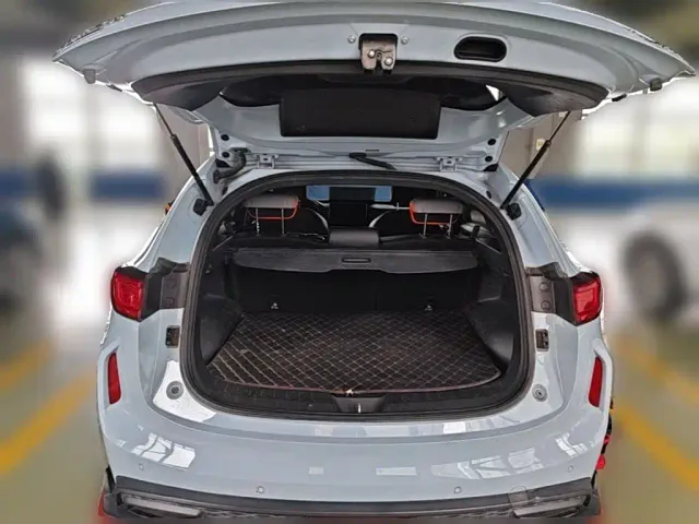 Haval Chitu — Фото автомобиля 23