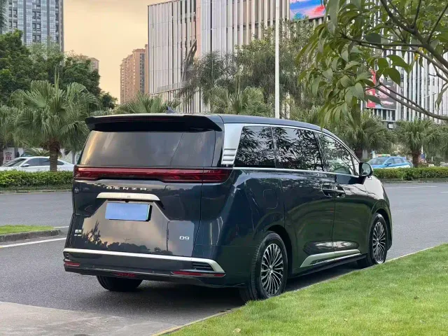 Denza D9 — Фото автомобиля 6