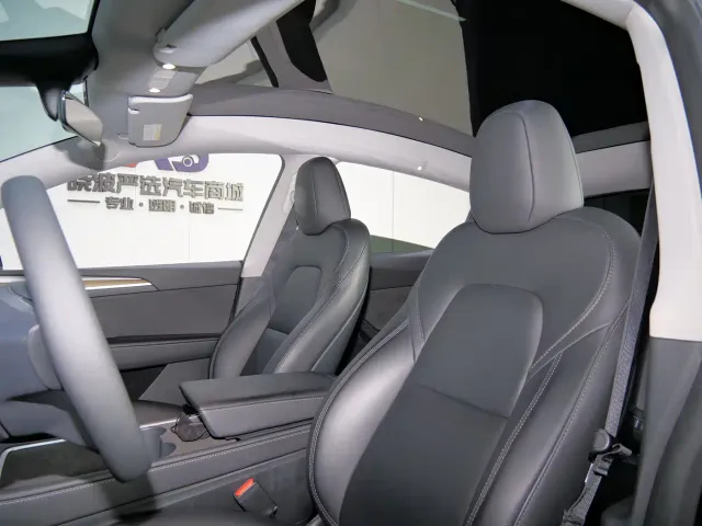 Tesla Model Y — Фото автомобиля 7