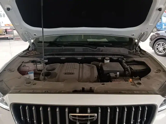 Geely Boyue — Фото автомобиля 19