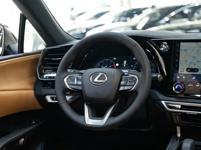 Lexus RX — Фото автомобиля 14