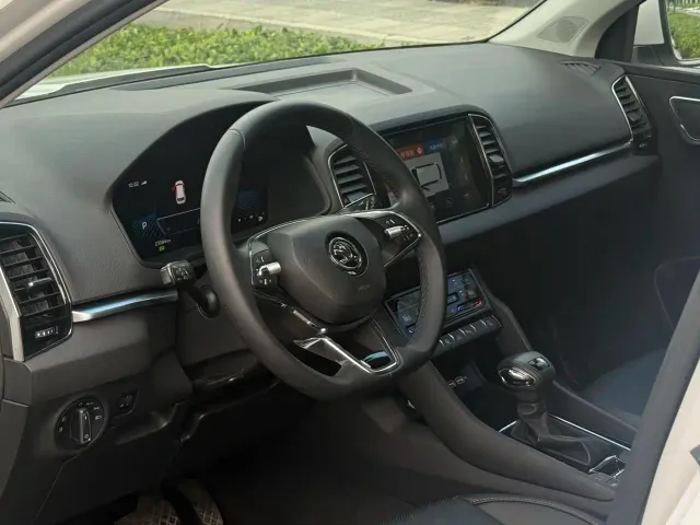 Skoda Karoq — Фото автомобиля 6