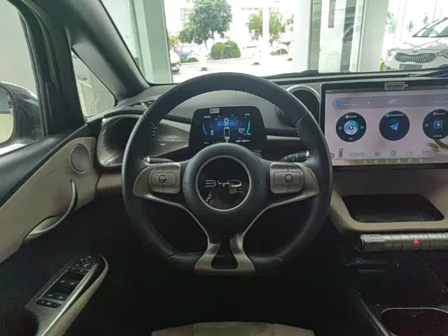 BYD Dolphin — Фото автомобиля 10