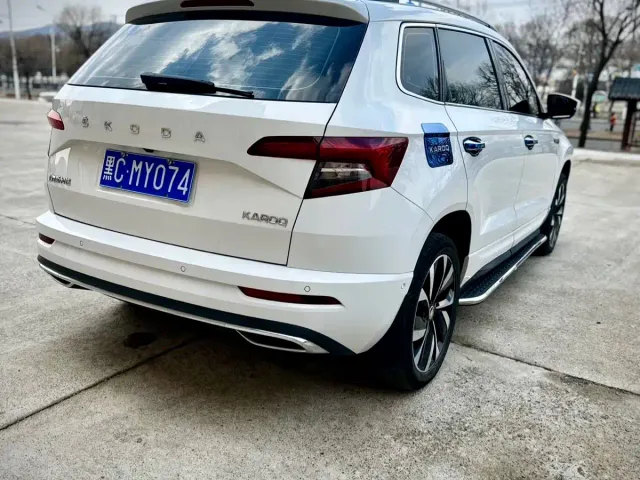 Skoda Karoq — Фото автомобиля 6