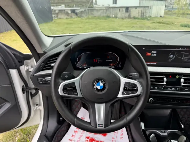 BMW 2 Series — Фото автомобиля 10