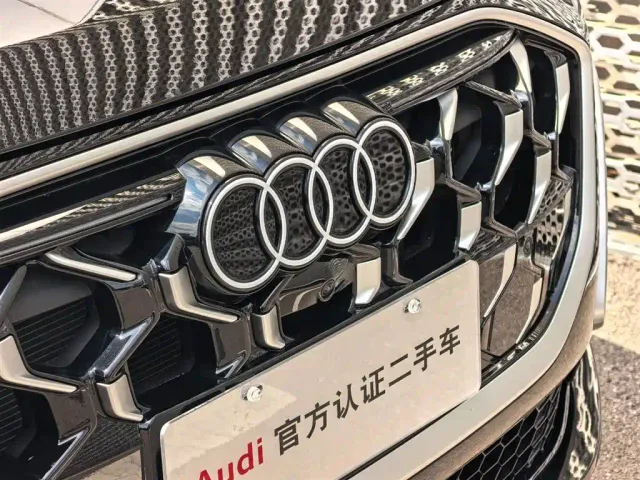Audi Q5L — Фото автомобиля 13