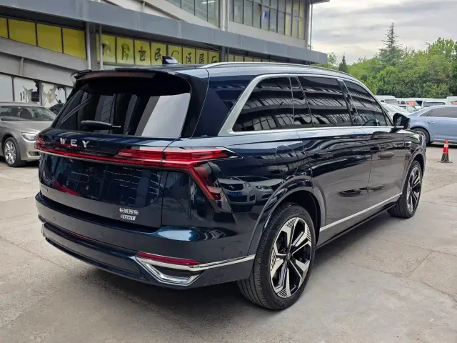 Wey Lanshan — Фото автомобиля 12