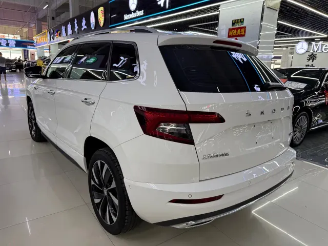Skoda Karoq — Фото автомобиля 6