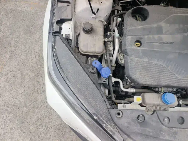 Changan Lamore — Фото автомобиля 20