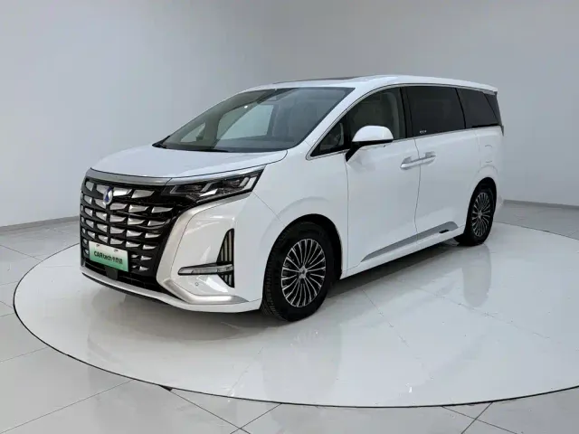 Denza Denza D9 2022 DM-i 970 All-Wheel Drive Honor Edition — Фото автомобиля 22