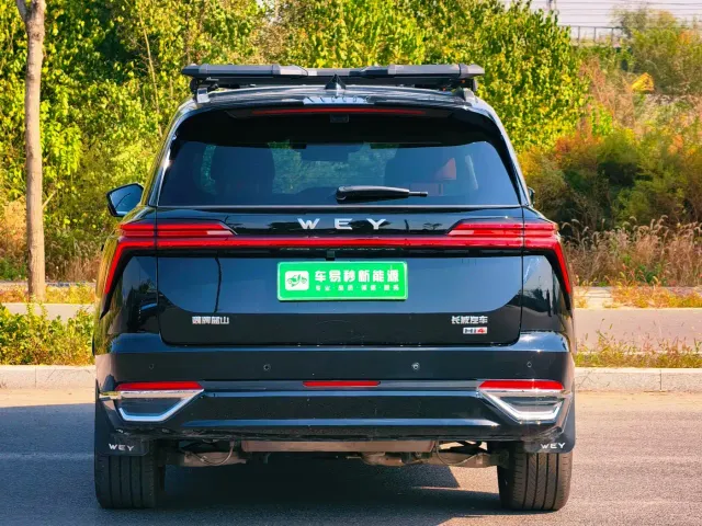 Wey Lanshan — Фото автомобиля 5