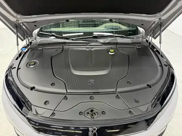 BYD Han — Фото автомобиля 10