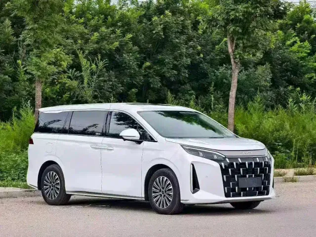 BYD M9 — Фото автомобиля 3