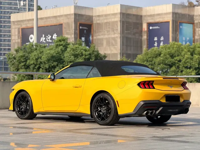Ford Mustang — Фото автомобиля 11