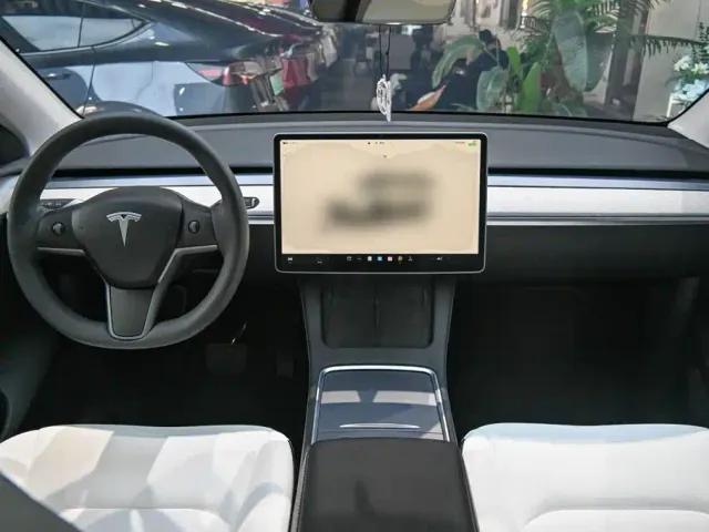Tesla Model Y — Фото автомобиля 9