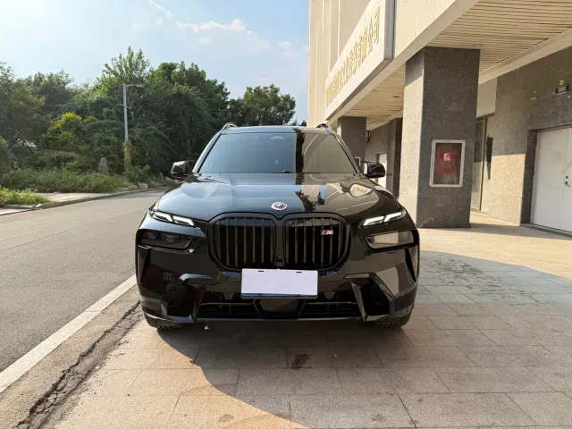 BMW X7 — Фото автомобиля 2