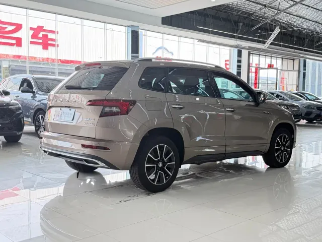 Skoda Karoq — Фото автомобиля 11