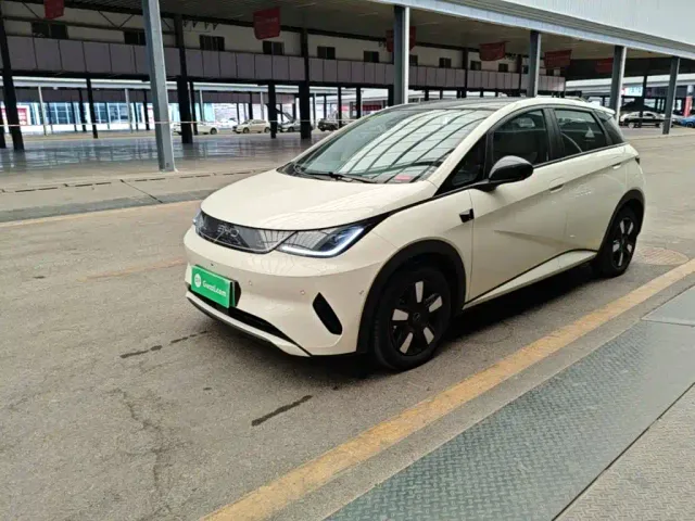 Фотография автомобиля — BYD Dolphin