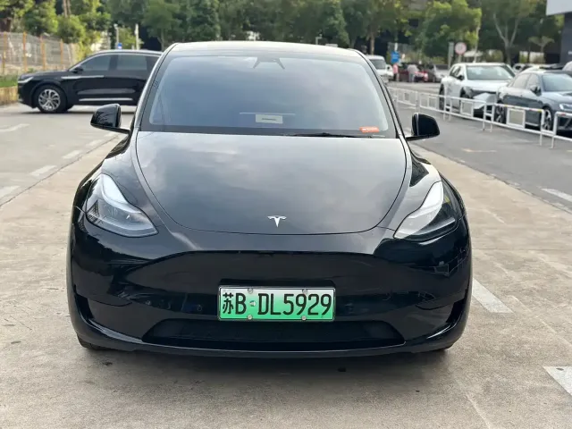 Tesla Model Y — Фото автомобиля 2