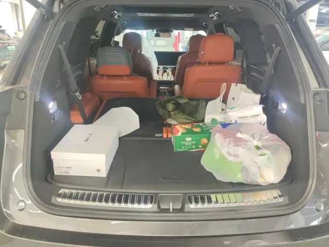 Li Auto Li Xiang L9 2022 Max — Фото автомобиля 4