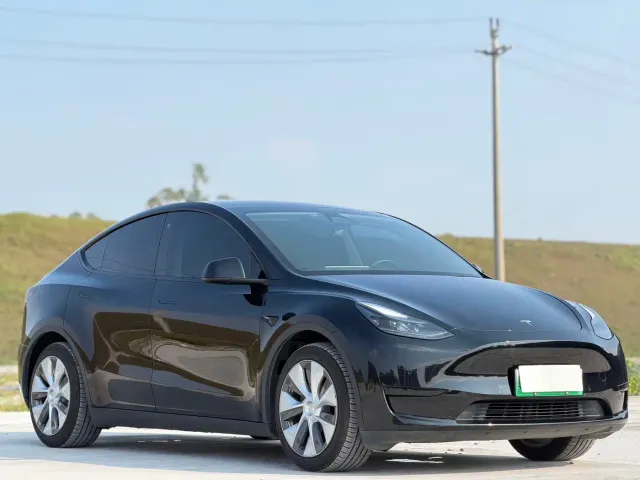 Tesla Model Y — Фото автомобиля 3