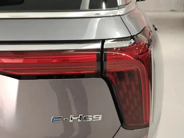 Hongqi E-HS9 — Фото автомобиля 6