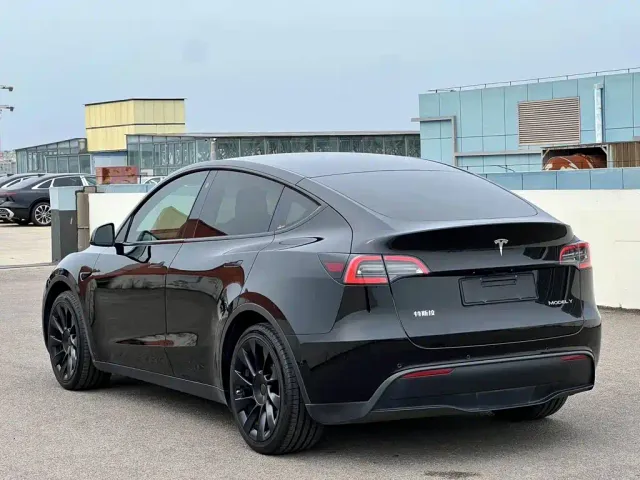 Tesla Model Y — Фото автомобиля 2