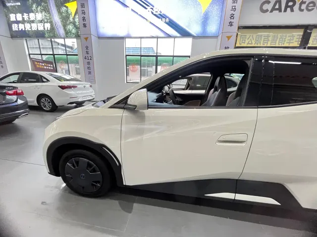 BYD Seagull — Фото автомобиля 8