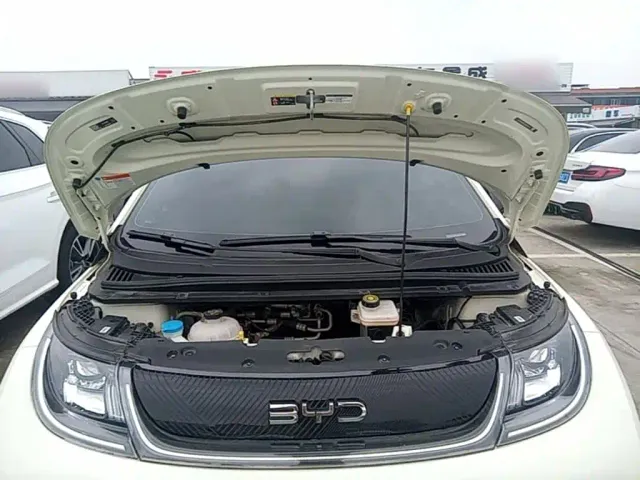 BYD Dolphin — Фото автомобиля 19