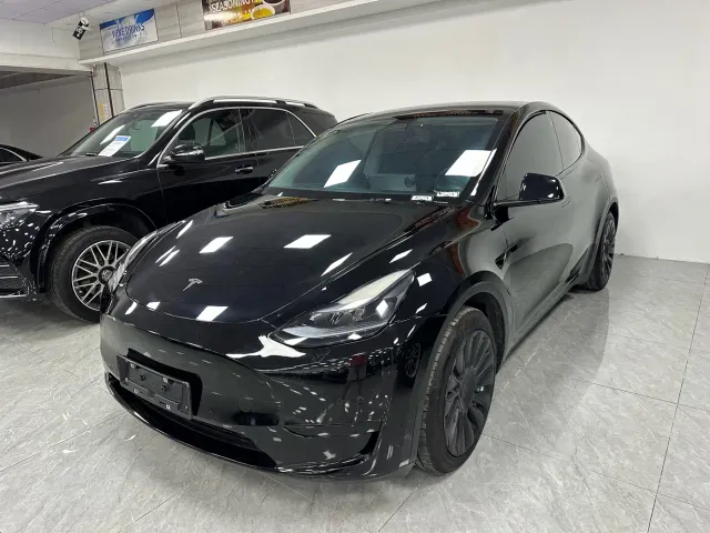 Tesla Model Y — Фото автомобиля 2