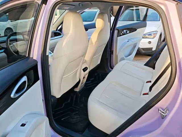 Geely Starry Wish — Фото автомобиля 12