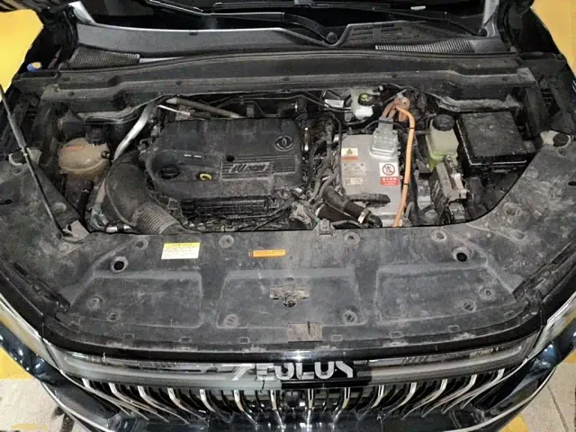 Dongfeng Haoji — Фото автомобиля 10