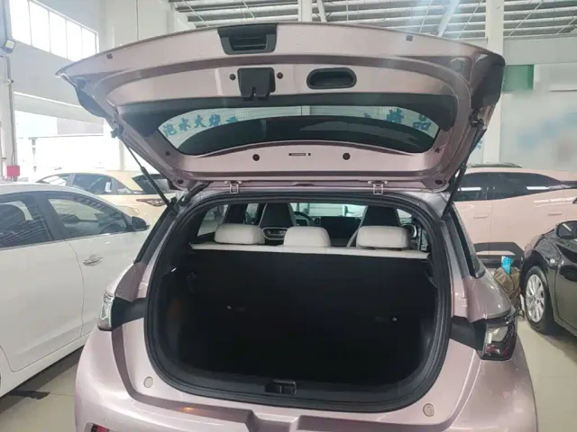 BYD Dolphin — Фото автомобиля 18