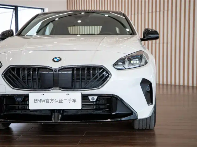 BMW 2 Series — Фото автомобиля 9