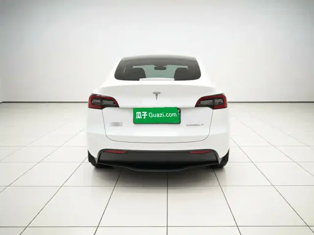 Tesla Model Y — Фото автомобиля 5