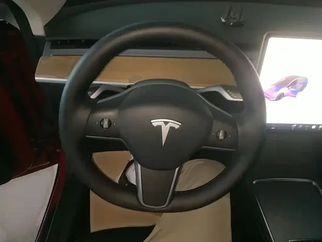 Tesla Model Y — Фото автомобиля 10