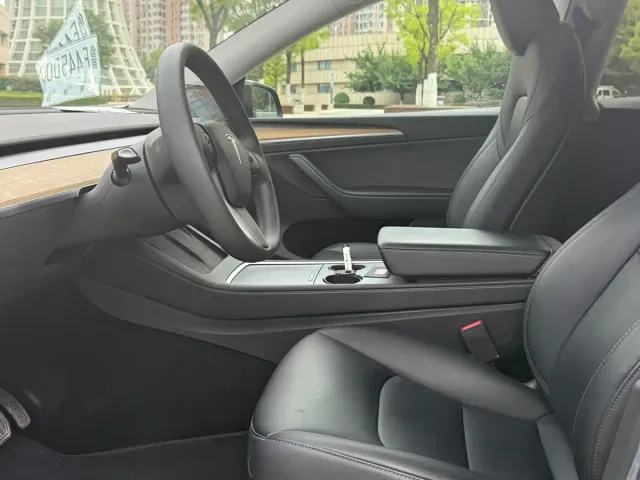 Tesla Model Y — Фото автомобиля 9