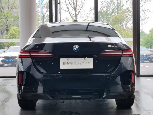BMW 5 Series — Фото автомобиля 6
