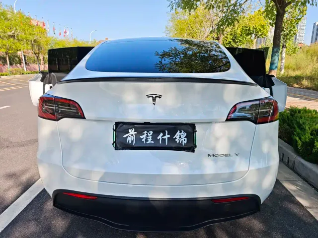 Tesla Model Y — Фото автомобиля 15