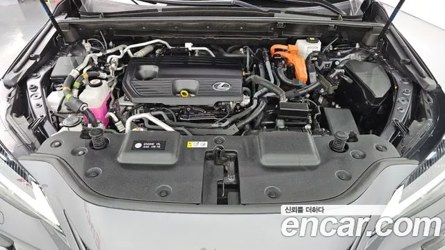 Lexus NX NX450h+ 2nd Gen — Фото автомобиля 9