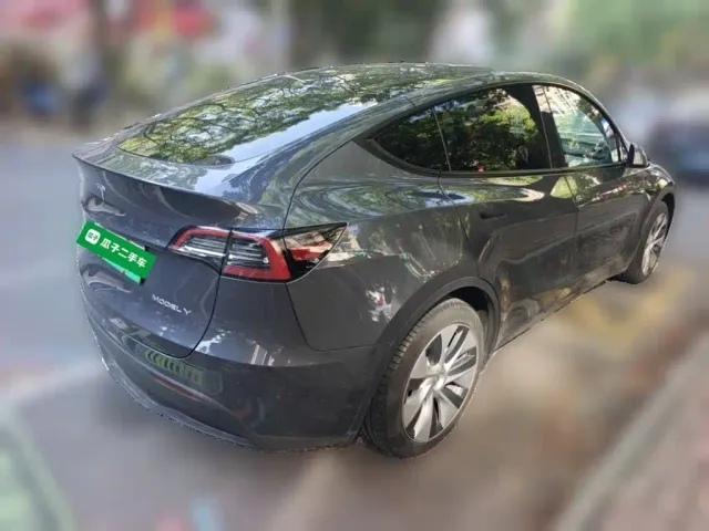 Tesla Model Y — Фото автомобиля 4
