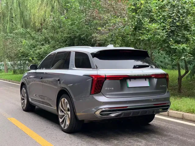 Hongqi E-HS9 — Фото автомобиля 5