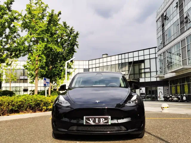 Tesla Model Y — Фото автомобиля 2