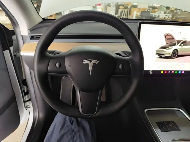 Tesla Model Y — Фото автомобиля 10