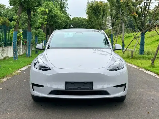 Tesla Model Y — Фото автомобиля 3