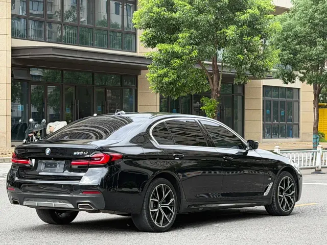 BMW 5 Series — Фото автомобиля 17